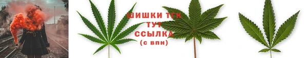 тгк Горняк