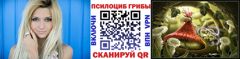 omg ссылки  Зея  Галлюциногенные грибы GOLDEN TEACHER 